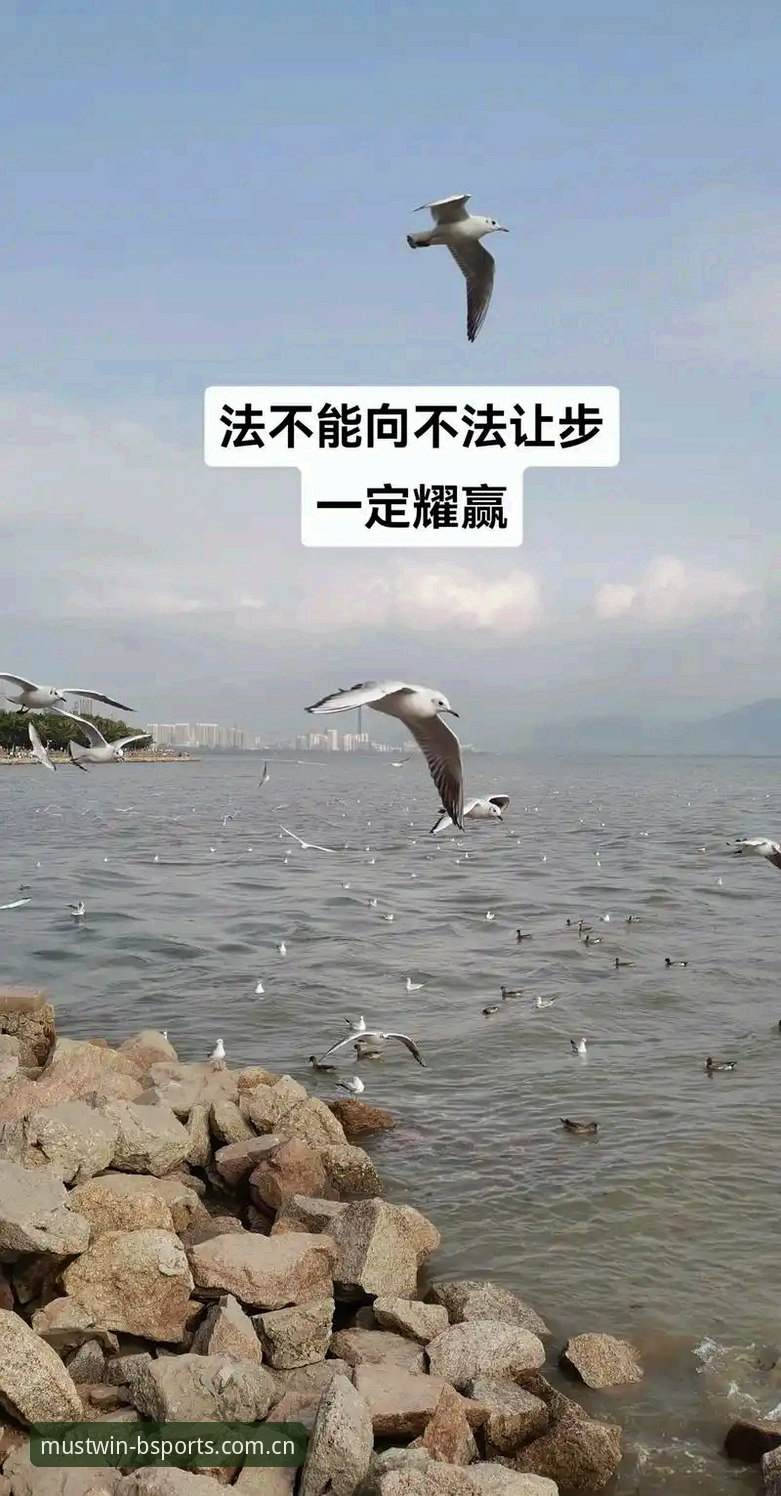必赢体育注册流程深度解析：从官网登录到App下载的全链路操作指南